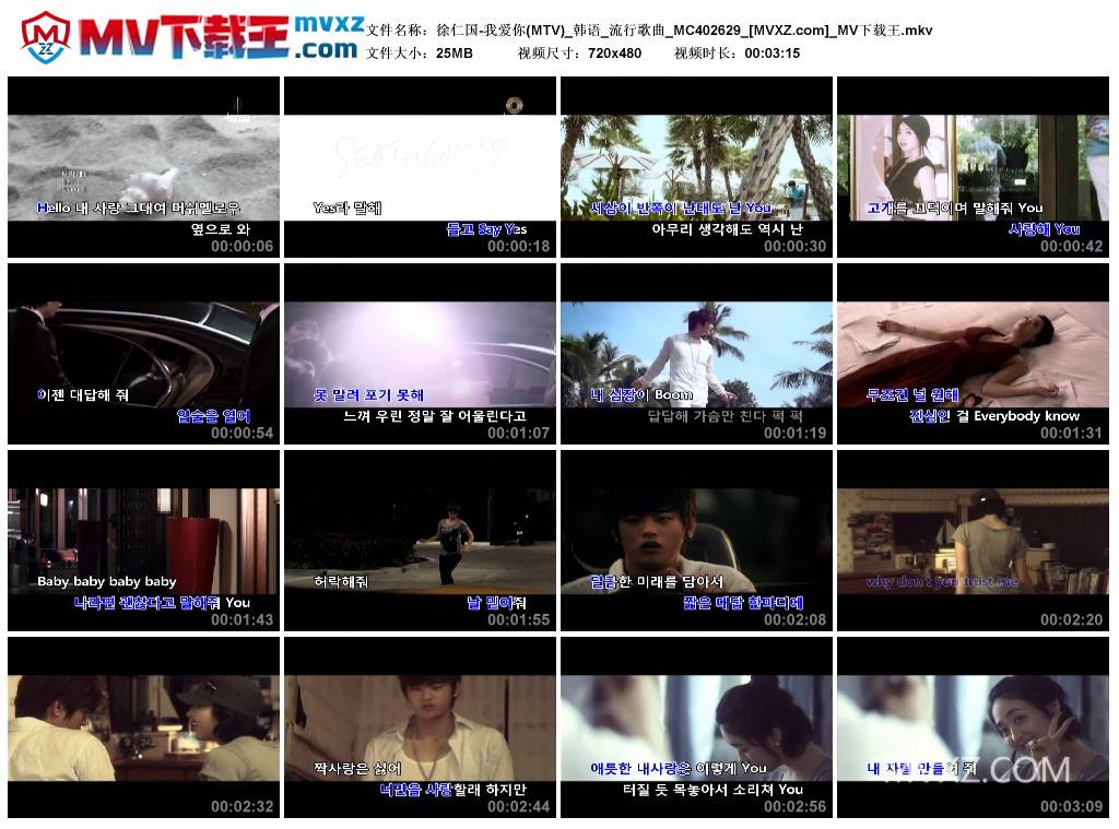 徐仁国-我爱你(MTV)_韩语_流行歌曲_MC402629